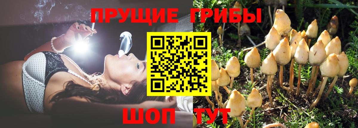 Псилоцибиновые грибы ЛСД Мытищи