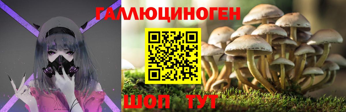 Галлюциногенные грибы ЛСД  Вход с VPN  Мытищи  Псилоцибиновые грибы прущие грибы 